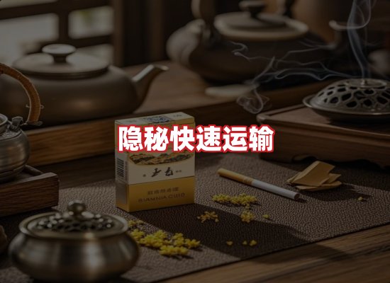 专业团队